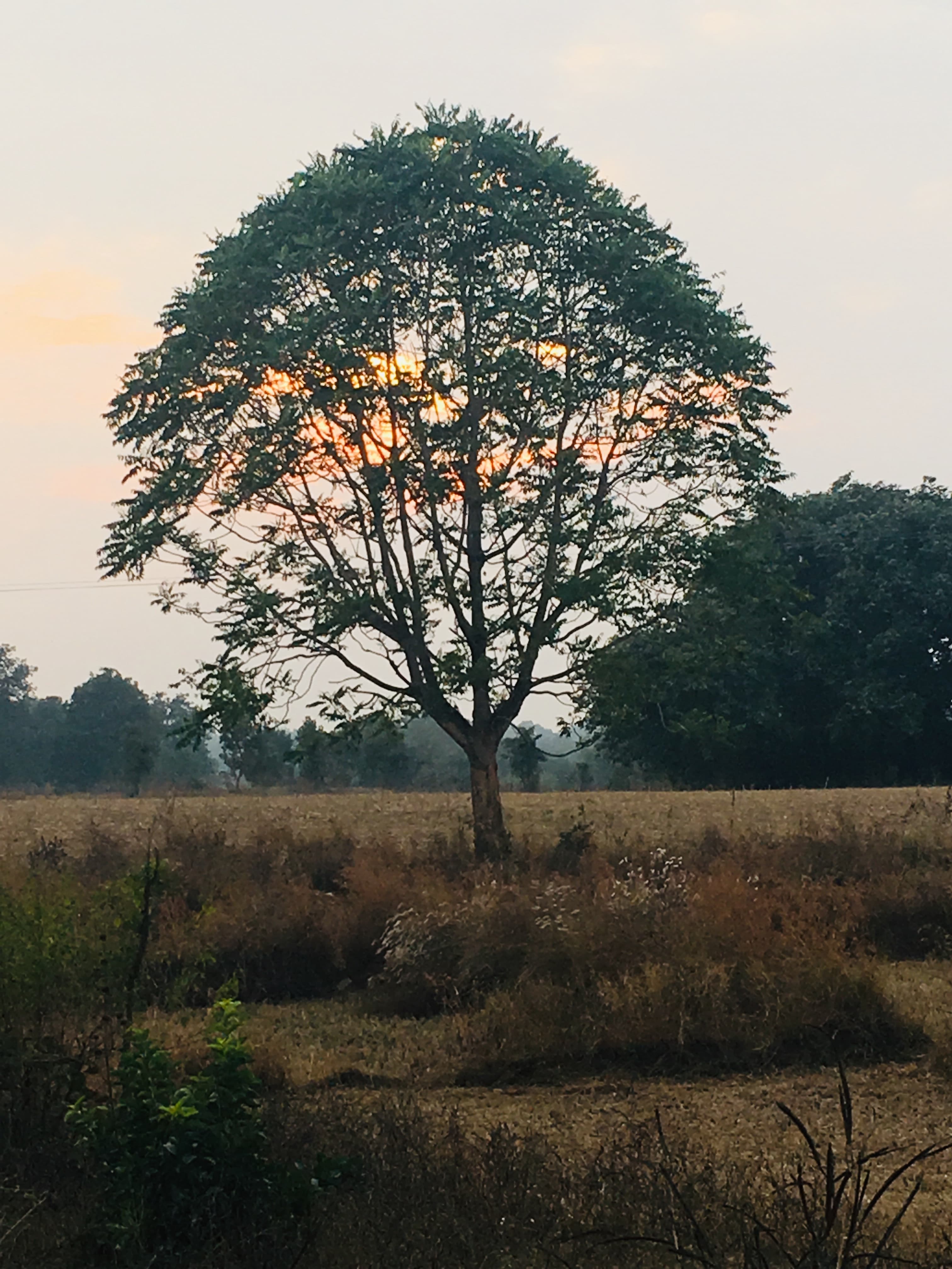 Recursion vs Iteration: 13 Ways to Traverse a Tree.